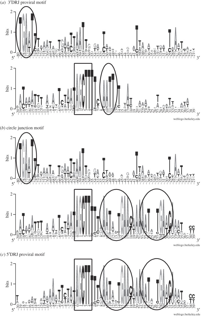 Figure 4.