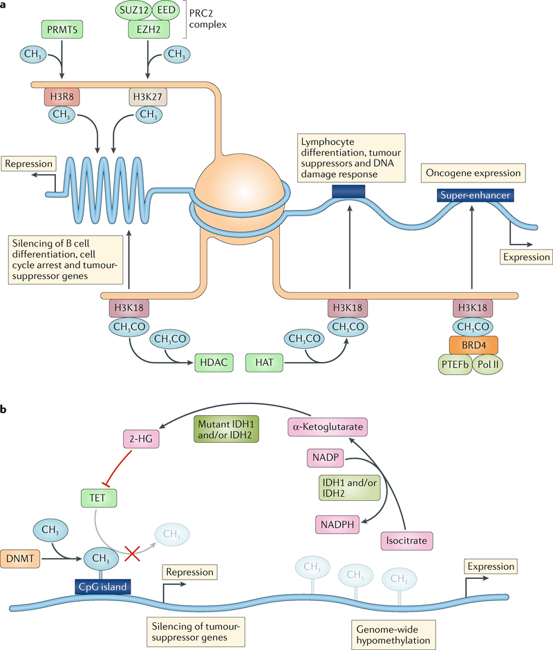 Fig. 2 |