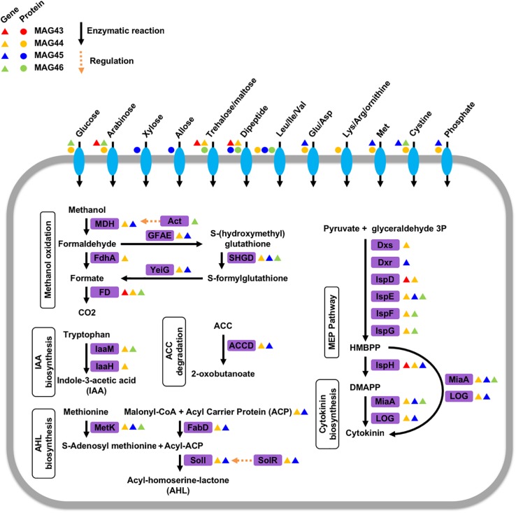 FIGURE 2