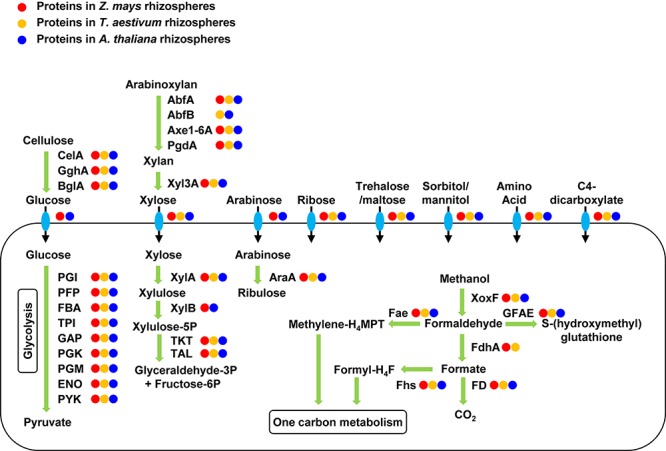 FIGURE 3