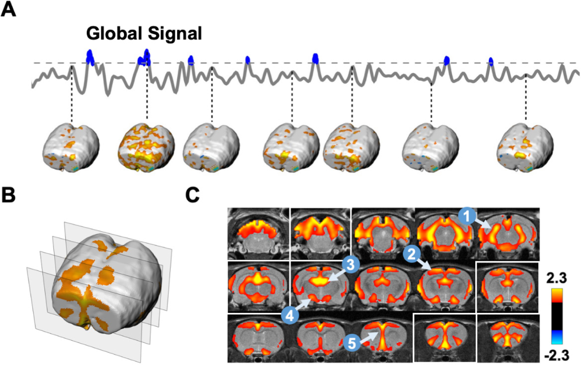 Figure 3.