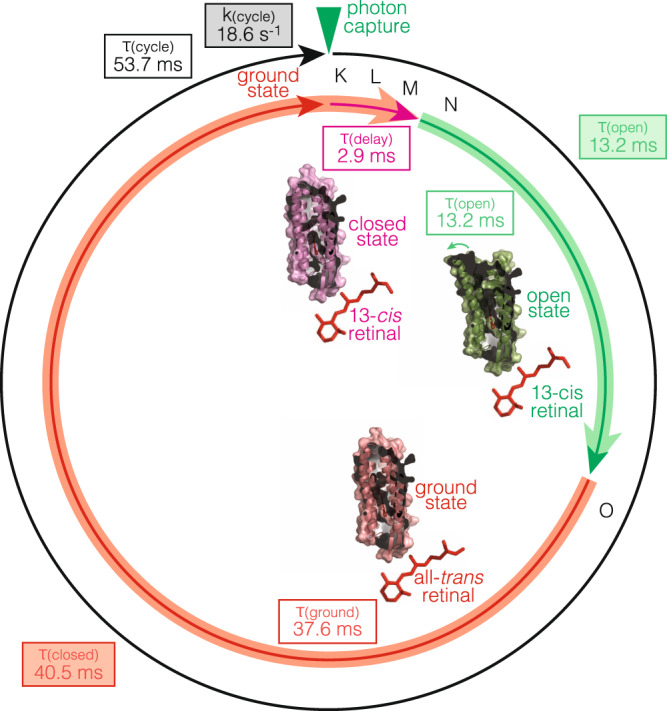 Fig. 4