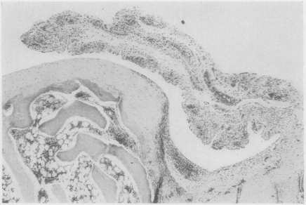 Fig. 10