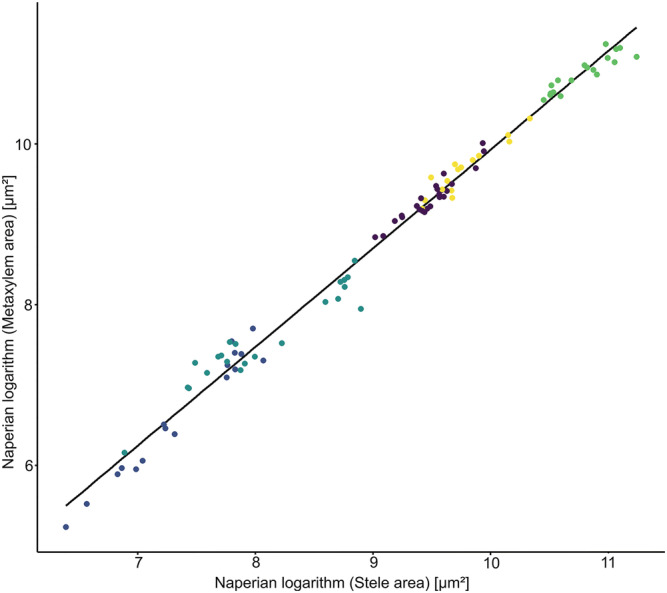 FIGURE 2