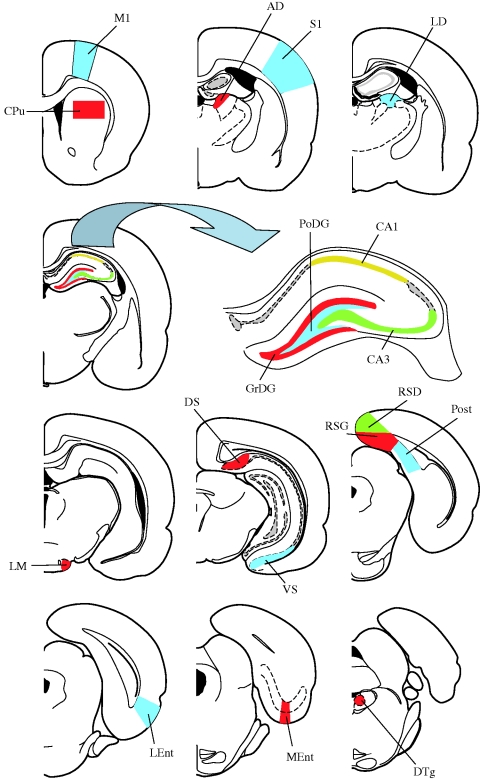 Figure 2.