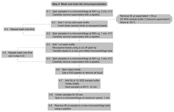 Figure 2.5