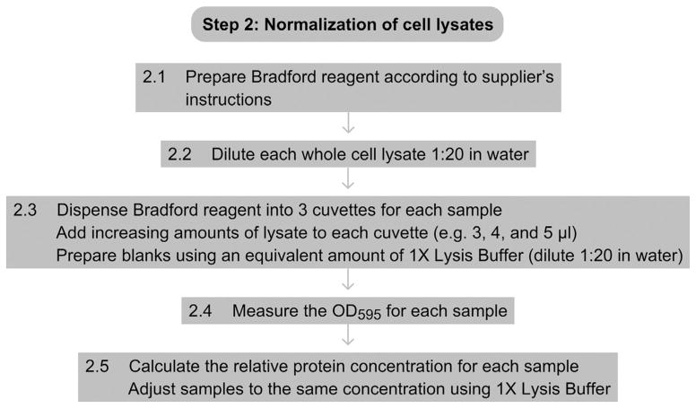 Figure 2.3