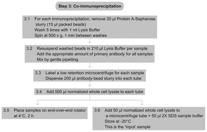 Figure 2.4