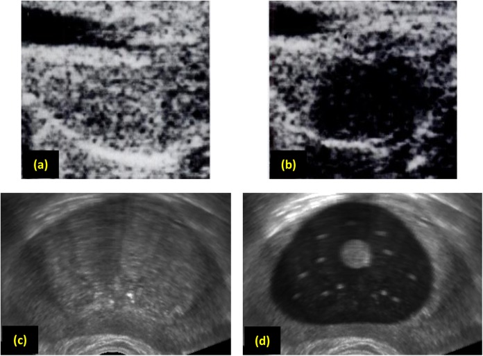 Figure 7.