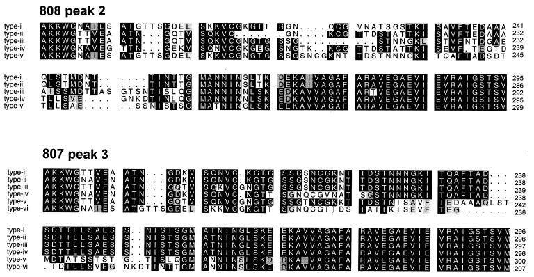 graphic file with name ii0581108002.jpg