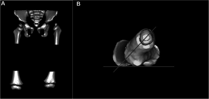 Fig. 2