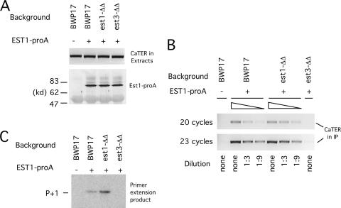 FIG. 7.