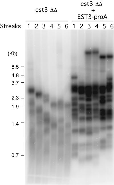 FIG. 5.