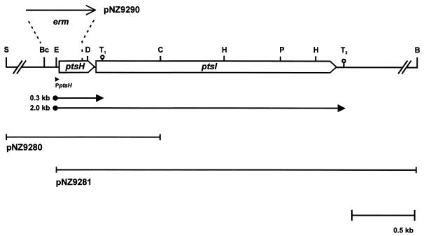 FIG. 1