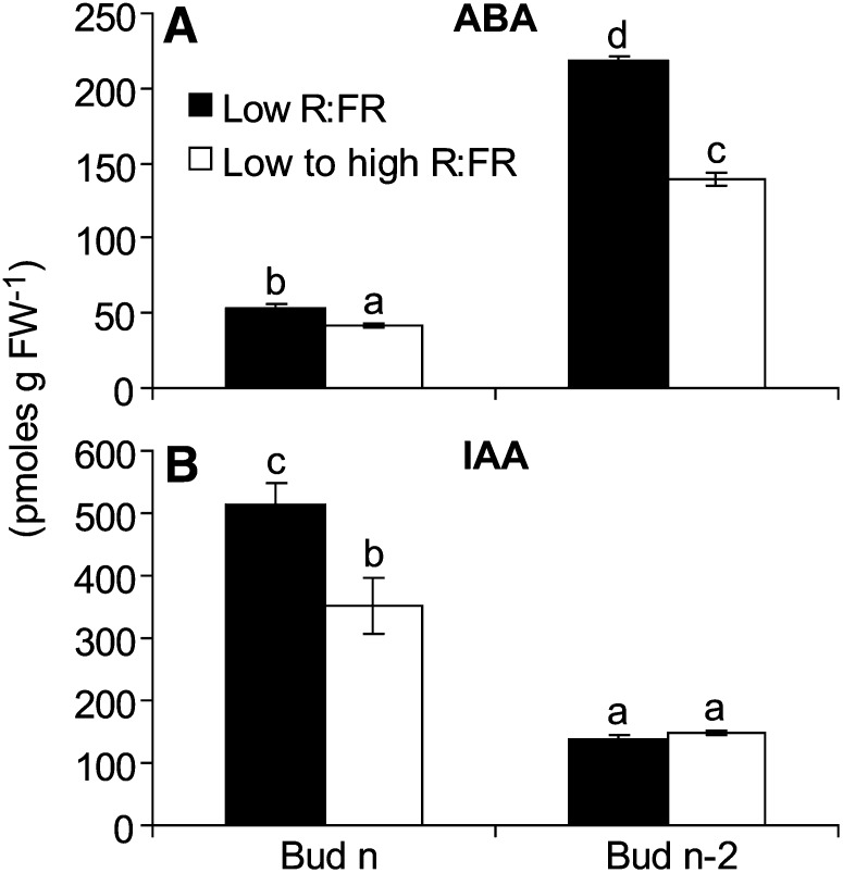 Figure 5.