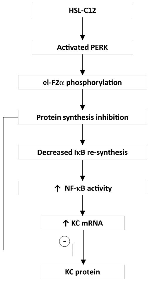 Fig. 11