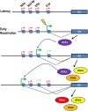 FIG 11