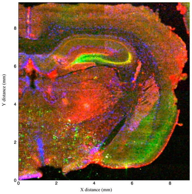 Figure 2