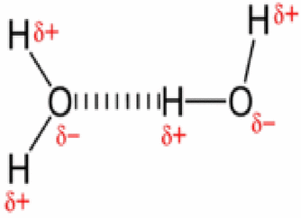 graphic file with name 13065_2025_1463_Strd_HTML.gif