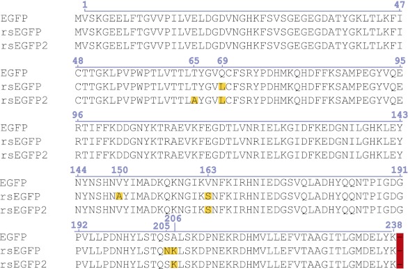 Figure 1—figure supplement 1.