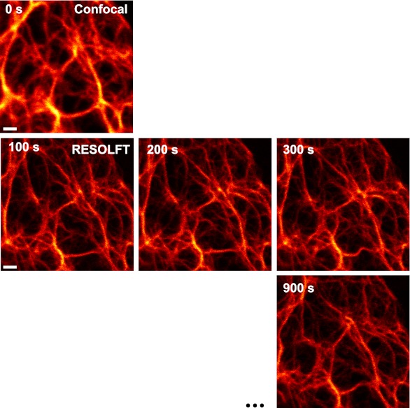 Figure 3—figure supplement 1.