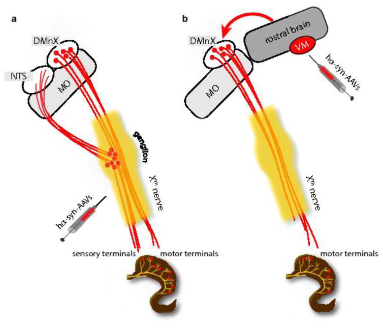 Fig. 8