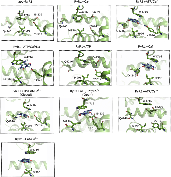 Figure 7