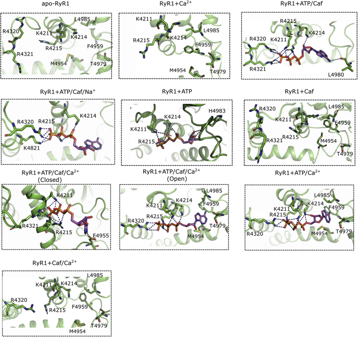 Figure 6