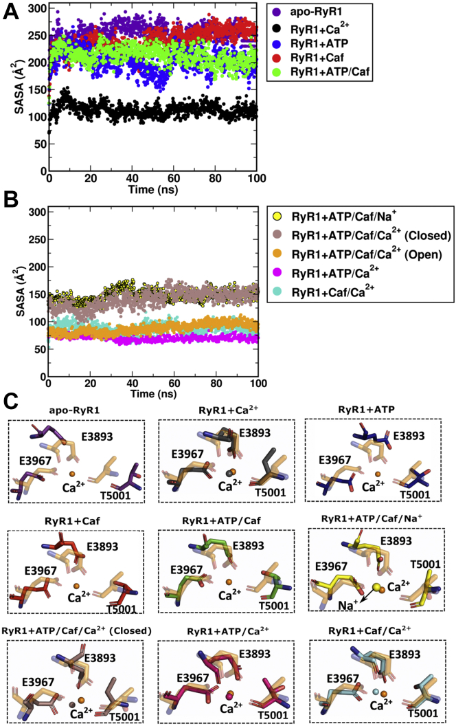 Figure 4