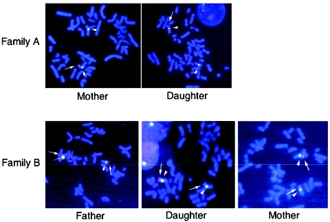 Figure  2