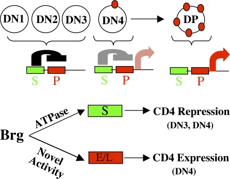 Figure 5.