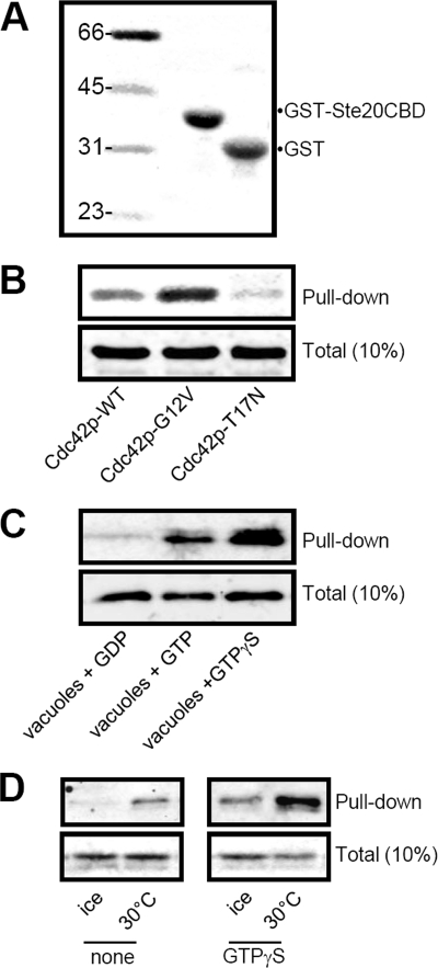 FIGURE 5.