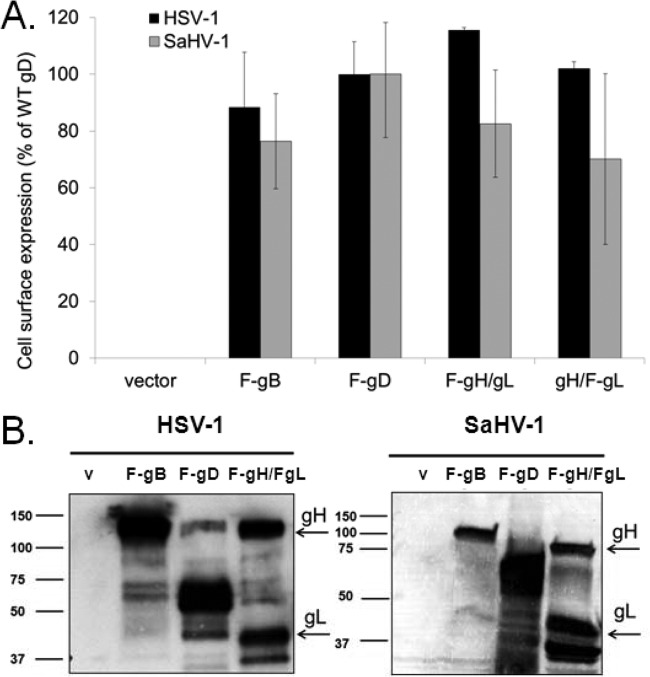 FIG 1