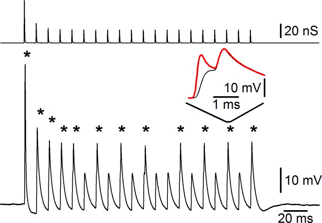 Fig. 8.