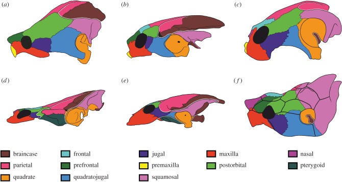 Figure 1.