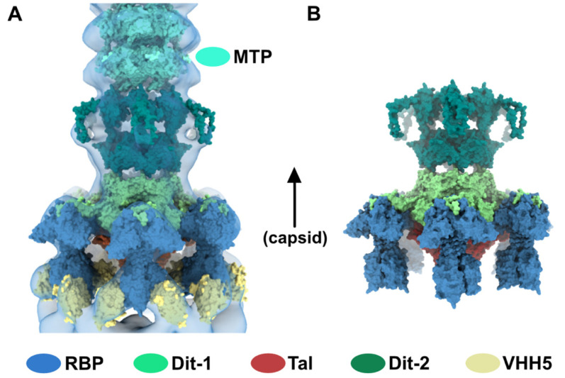 Figure 5