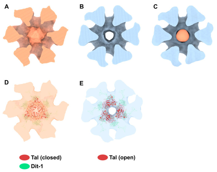 Figure 6