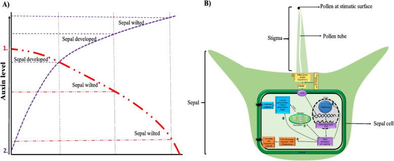 Fig. 9