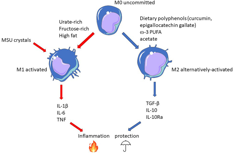 Figure 4