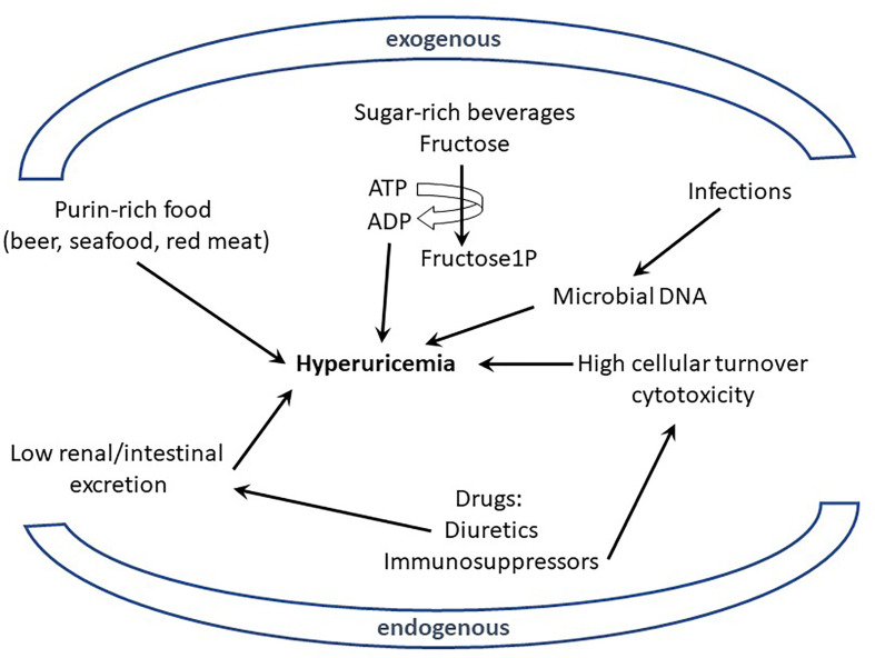 Figure 1