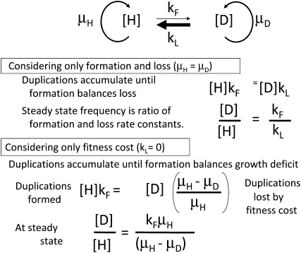 Figure 2.—