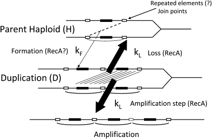 Figure 1.—