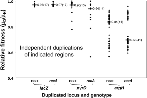 Figure 7.—