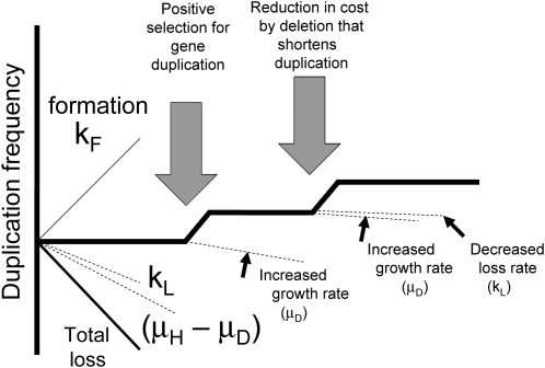 Figure 10.—