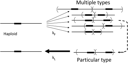 Figure 3.—