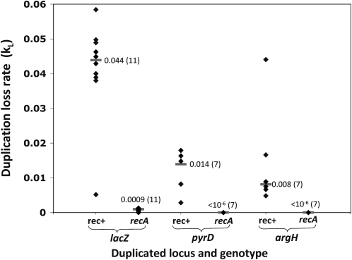 Figure 6.—