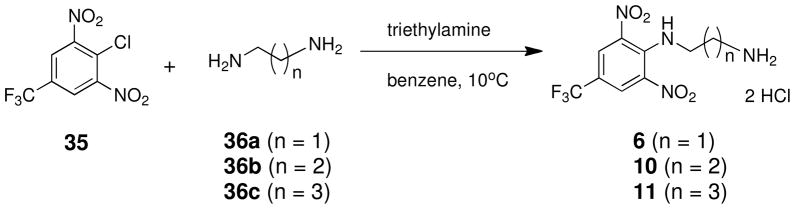 Scheme 2