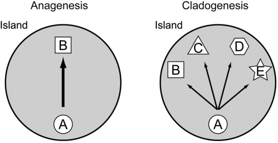 Figure 1.