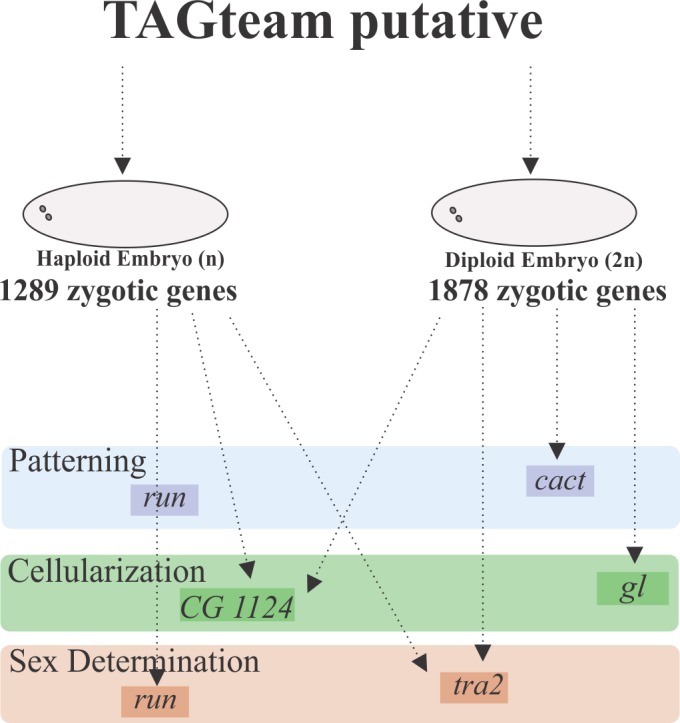 Fig 5