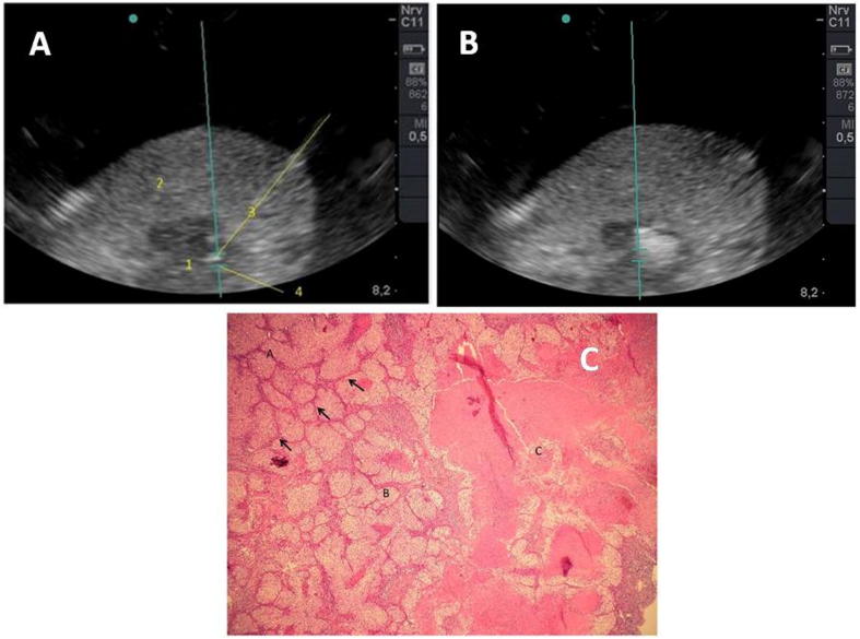 Fig. 7